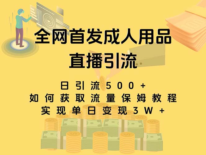 最新全网独创首发，成人用品直播引流获客暴力玩法，单日变现3w保姆级教程-天行资源库