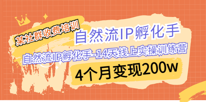 某社群收费培训：自然流IP 孵化手-14天线上实操训练营 4个月变现200w-天行资源库
