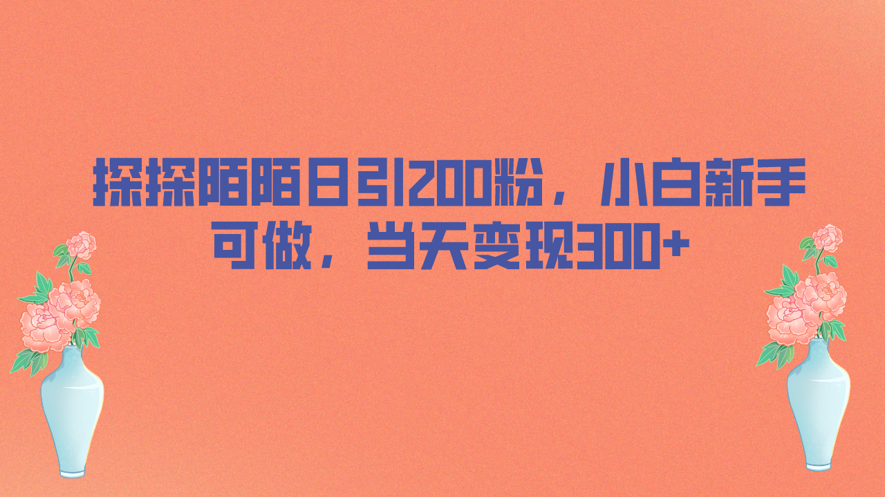 探探陌陌日引200粉，小白新手可做，当天就能变现300+-天行资源库