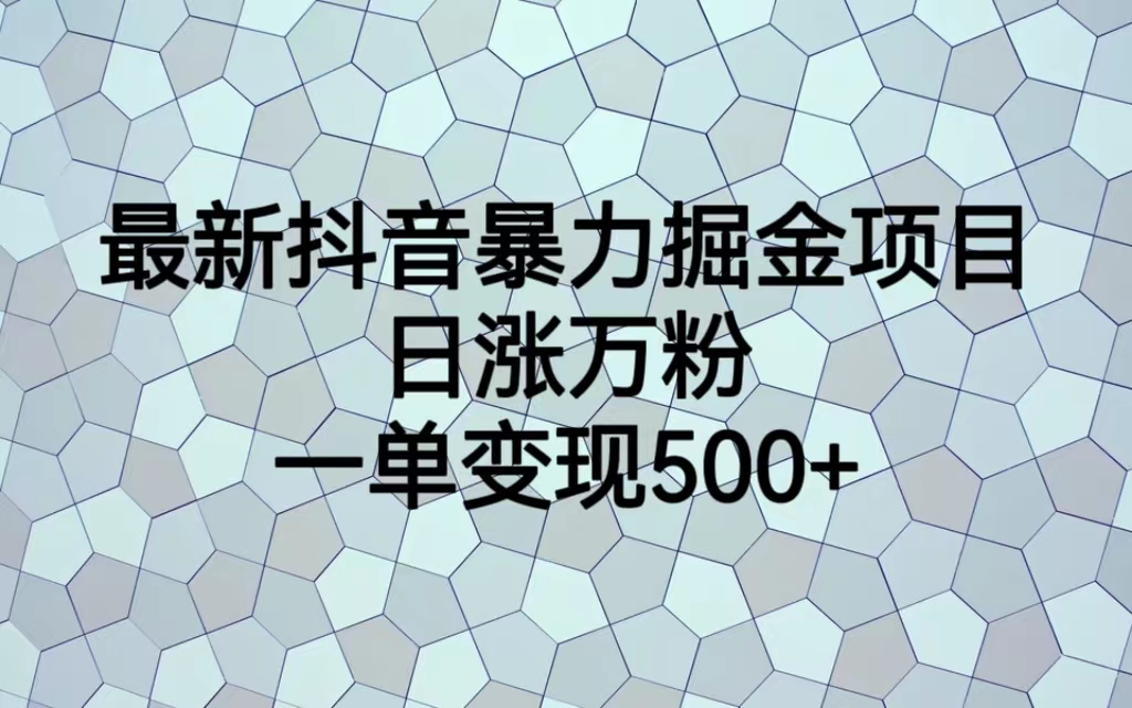 最新抖音暴力掘金项目，日涨万粉，一单变现500+-天行资源库