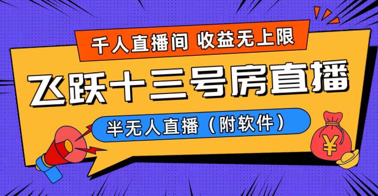 爆火飞跃十三号房半无人直播，一场直播上千人，日入过万！（附软件）-天行资源库
