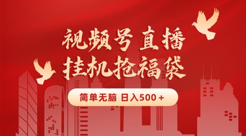 最新视频号直播挂机抢福袋项目，简单无脑，批量产出实物，轻松日入500＋-天行资源库