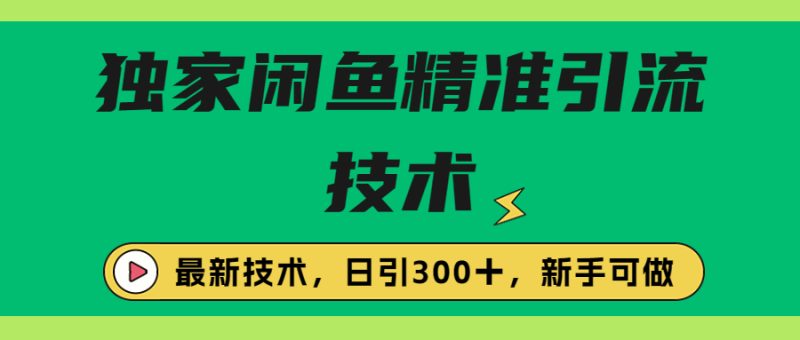 独家闲鱼引流技术，日引300＋实战玩法-天行资源库