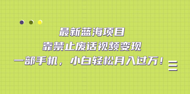 最新蓝海项目，靠禁止废话视频变现，一部手机，小白轻松月入过万！-天行资源库