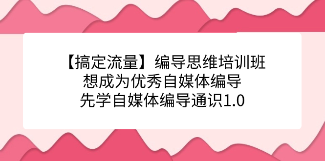 【搞定流量】编导思维培训班，想成为优秀自媒体编导先学自媒体编导通识1.0-天行资源库