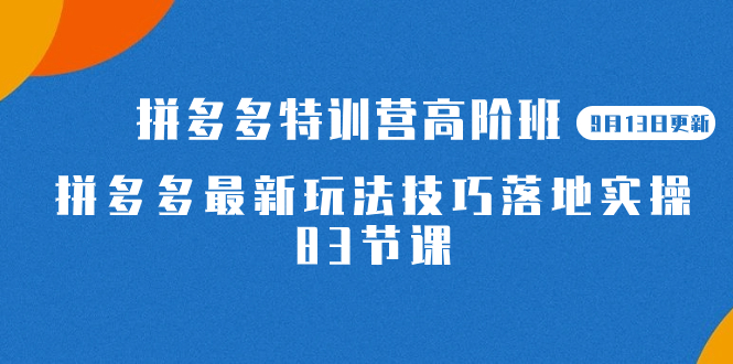 2023拼多多·特训营高阶班【9月19日更新】拼多多最新玩法技巧落地实操-83节-天行资源库