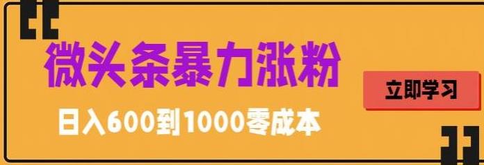 微头条暴力涨粉技巧搬运文案就能涨几万粉丝，简单0成本，日赚600-天行资源库