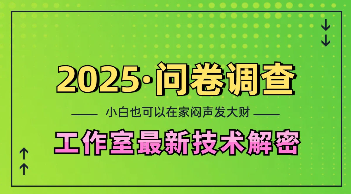 2025《问卷调查》最新工作室技术解密：一个人在家也可以闷声发大财，小白一天200+，可矩阵放大-天行资源库