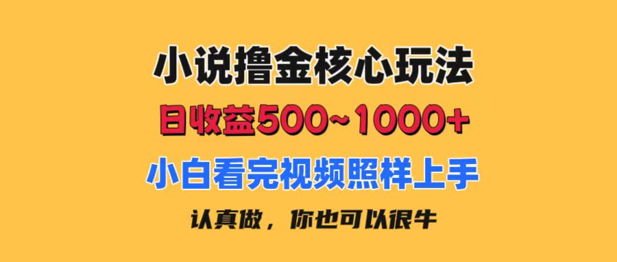 小说撸金核心玩法，日收益500-1000+，小白看完照样上手，0成本有手就行-天行资源库