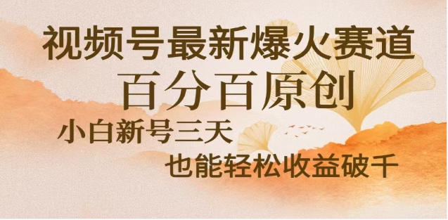 视频号独家玩法，老年养生赛道，无脑搬运爆款视频，日入2000+-天行资源库