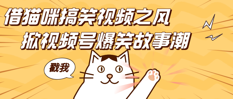 借猫咪搞笑视频之风，掀视频号爆笑故事潮，轻松日赚四位数，开启无门槛赚钱新体验！-天行资源库