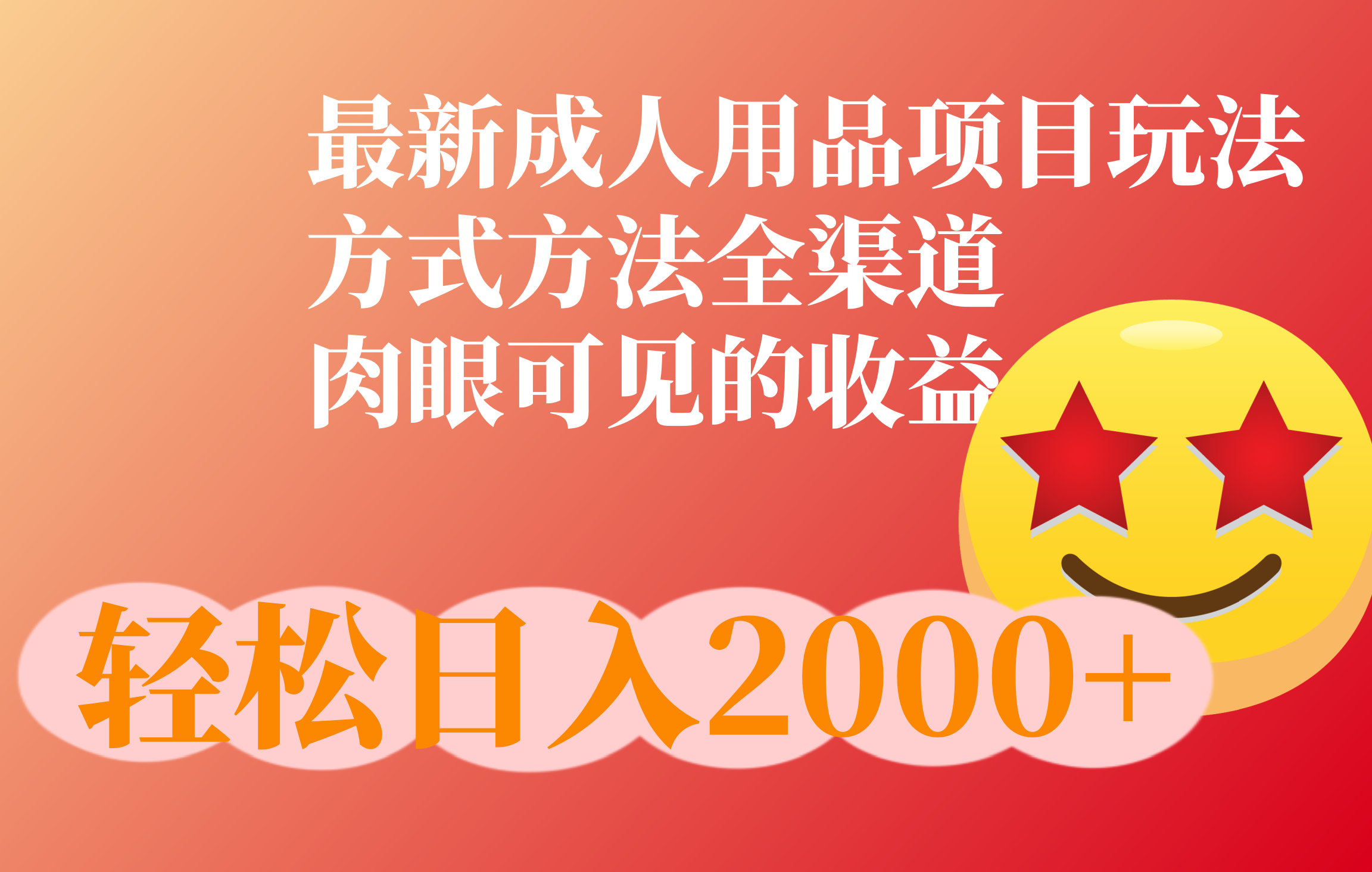 成人用品项目最新玩法，方式方法全渠道-天行资源库