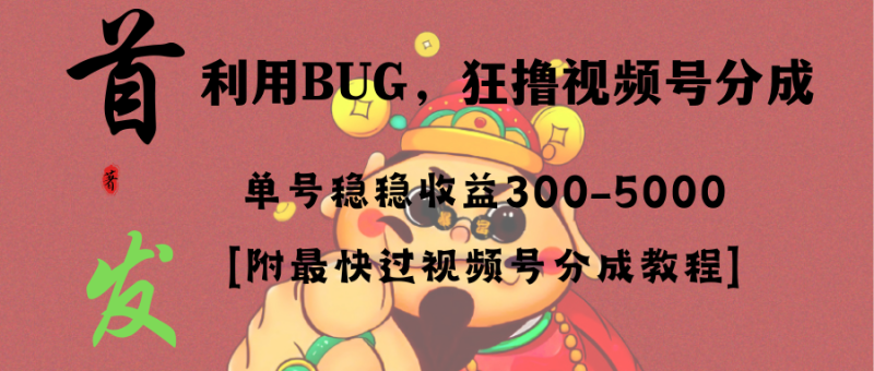全网独家首发，视频号BUG，超短期项目，单号每日净收益300-5000！-天行资源库