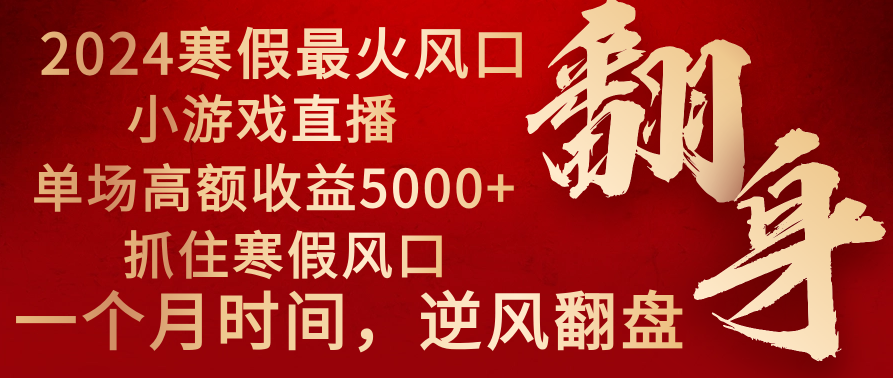 2024年最火寒假风口项目 小游戏直播 单场收益5000+抓住风口 一个月直接提车-天行资源库