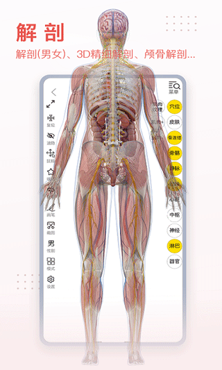 3dbody解剖苹果版 v8.8.21-天行资源库