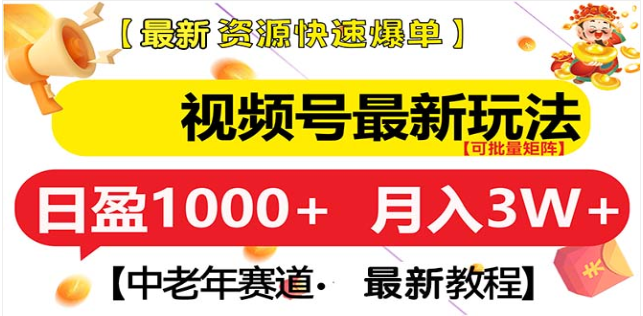 视频号独家玩法，老年养生赛道，无脑搬运爆款视频，日入1000+-天行资源库