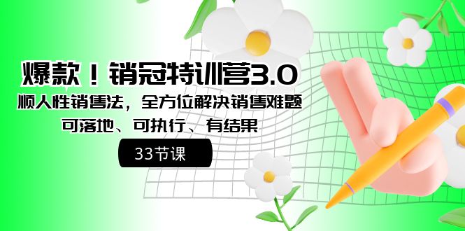 爆款！销冠特训营3.0之顺人性销售法，全方位解决销售难题、可落地-天行资源库