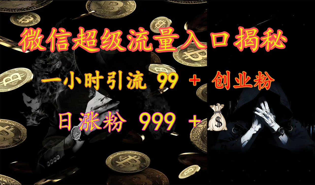 微信超级流量入口揭秘：一小时引流 99 + 创业粉，日涨粉 999 +【揭秘】-天行资源库