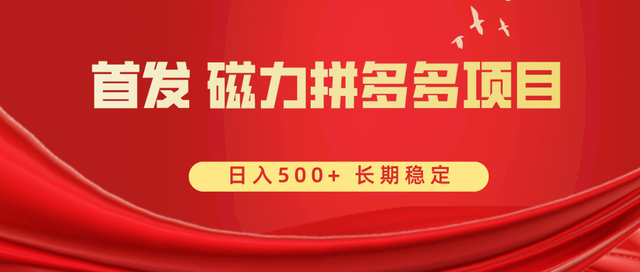 首发 磁力拼多多自撸 日入500+-天行资源库