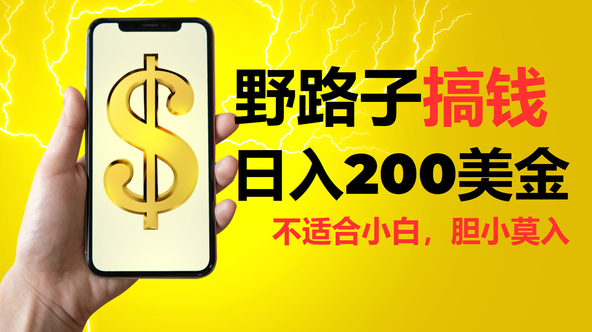 挂机野路子搞钱，日入200美金，路子很野，小白莫入-天行资源库