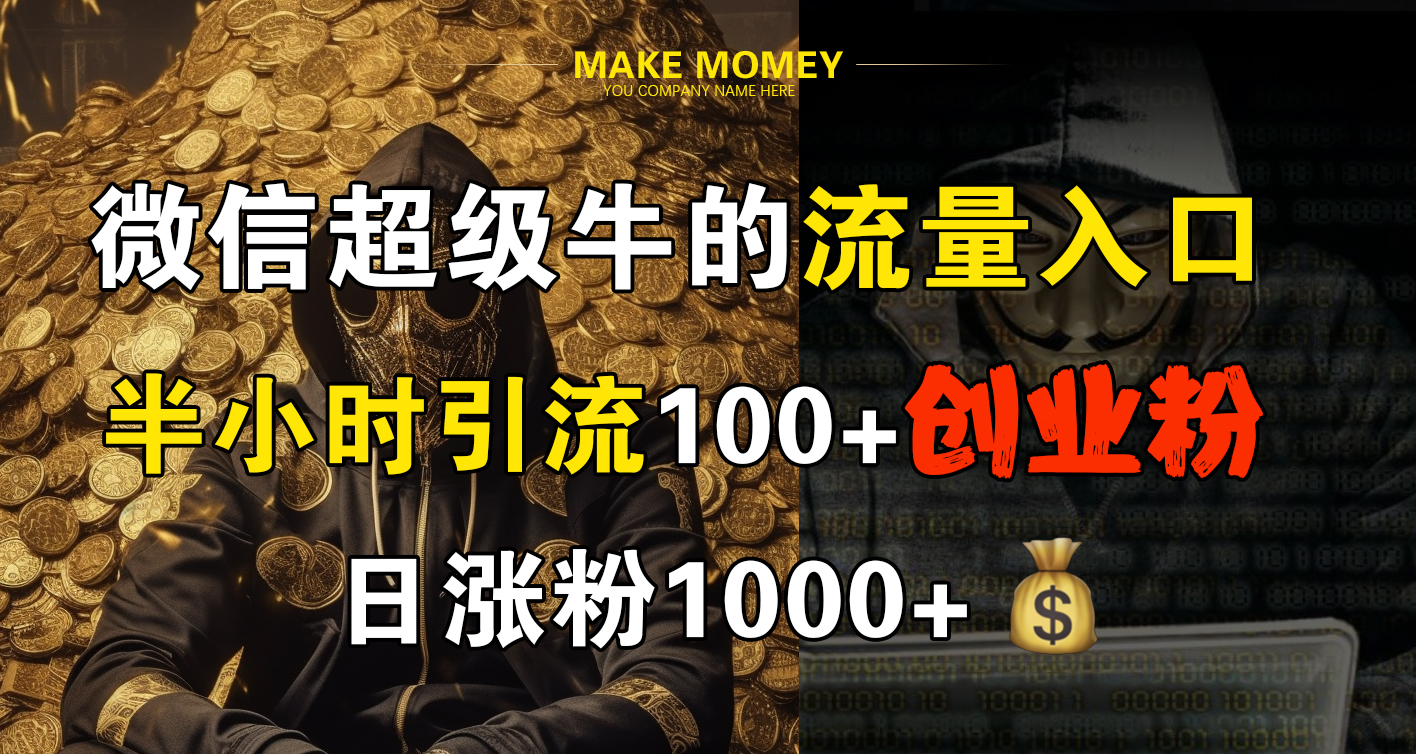 微信超级牛的流量入口，半小时引流100+创业粉，日涨粉1000+-天行资源库