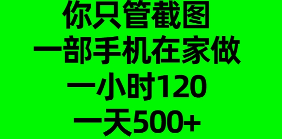 你只管截图，一部手机在家做，一小时120，一天500+-天行资源库