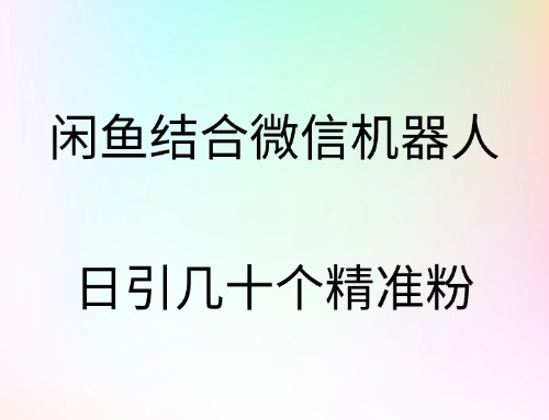 闲鱼结合微信机器人，日引几十个精准粉-天行资源库