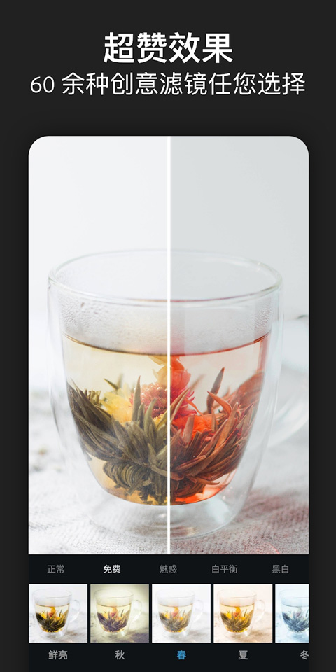 图片[1]-photoshop express苹果版 v24.26.1官方版-天行资源库