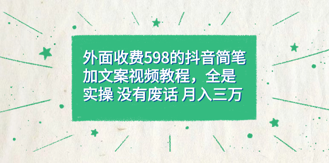 外面收费598抖音简笔加文案教程，全是实操 没有废话 月入三万（教程+资料）-天行资源库