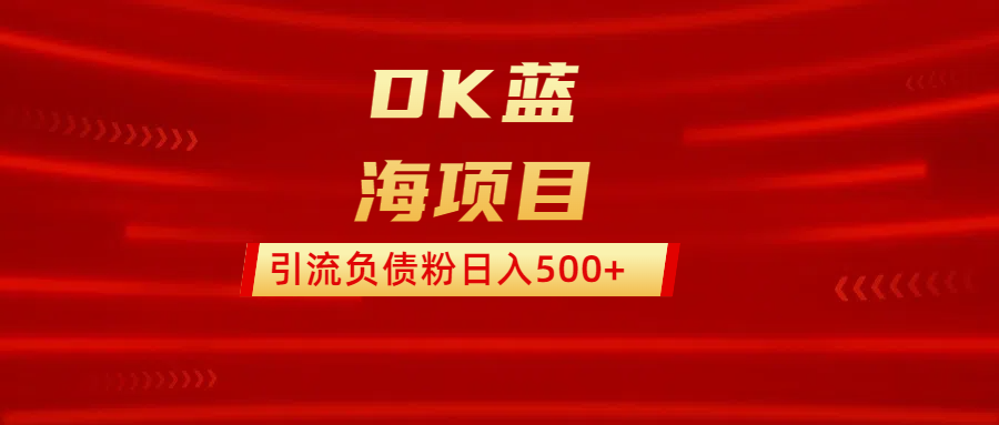 DK蓝海项目  通过，抖音，快手，小红书，引流负债粉日入500+-天行资源库