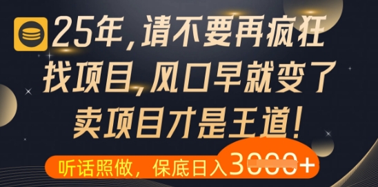什么？25年你还在疯狂找项目做，醒醒吧，看完这些你全都懂了【揭秘】-天行资源库