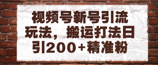 视频号新号引流玩法，搬运打法日引200+精准粉，可矩阵放大【揭秘】-天行资源库