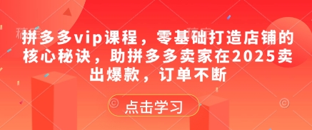 拼多多vip课程，零基础打造店铺的核心秘诀，助拼多多卖家在2025卖出爆款，订单不断-天行资源库