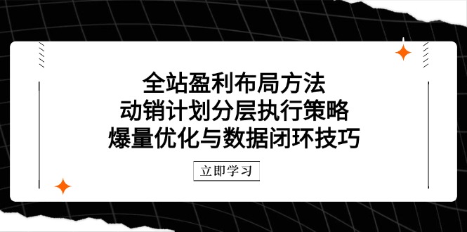 全站盈利布局方法：动销计划分层执行策略，爆量优化与数据闭环技巧-天行资源库