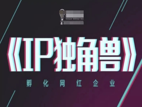 IP独角兽，孵化网红企业，ip教程-天行资源库
