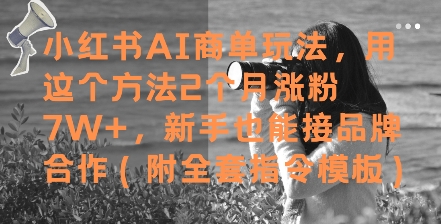 小红书AI商单玩法，用这个方法2个月涨粉7W+，新手也能接品牌合作(附全套指令模板)-天行资源库