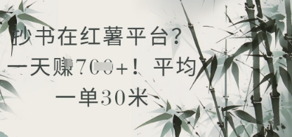 抄书在小红薯平台？平均一单30米，一天收益几张！-天行资源库