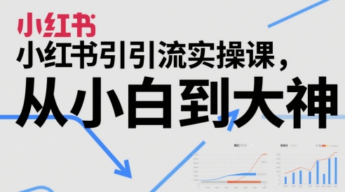 小红书引流实操课，从小白到大神-天行资源库