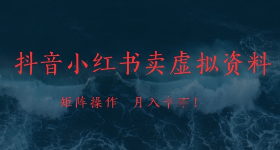 抖音小红书卖虚拟资料，市场需求一直存在，矩阵操作，月入1w+-天行资源库