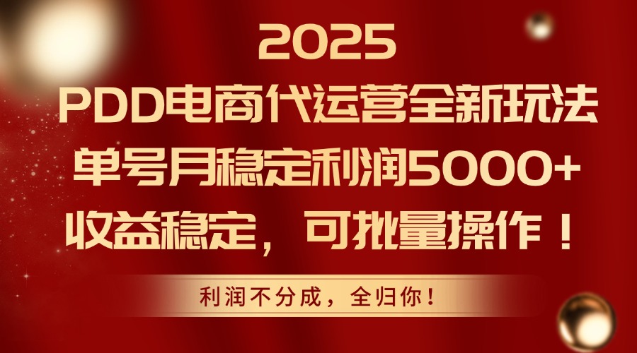 2025PDD电商代运营全新玩法，单号月稳定利润5000+，收益稳定，可批量操作-天行资源库