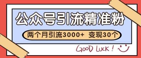 公众号精准粉引流玩法，2个月3000+精准粉，变现30个W【揭秘】-天行资源库