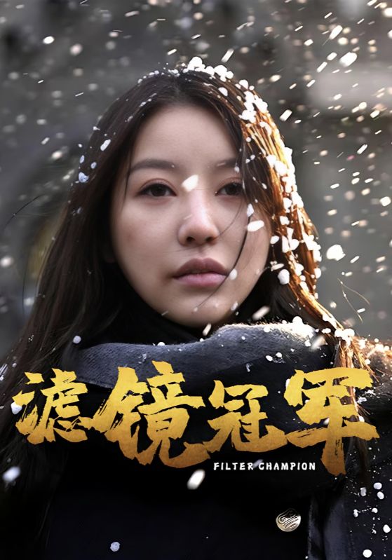 19658-滤镜冠军（32集）-天行资源库