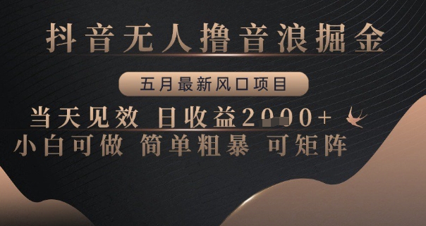 抖音无人撸音浪掘金，五月最新风口项目，当天见效，日收益多张，小白可做简单粗暴可矩阵【揭秘】-天行资源库