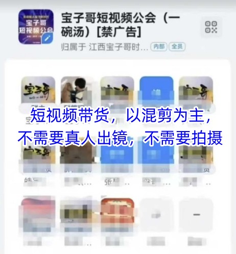 宝子哥头部团队短视频带货，以混剪为主，不需要真人出镜，不需要拍摄-天行资源库