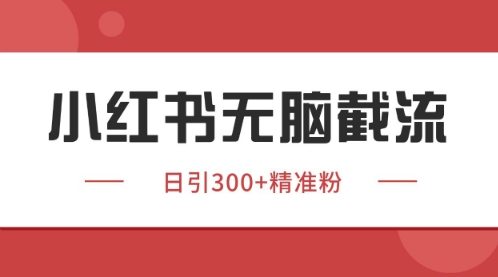 小红书只要你有同行就能获客，独家野路子获客玩法，暴力截流【揭秘】-天行资源库