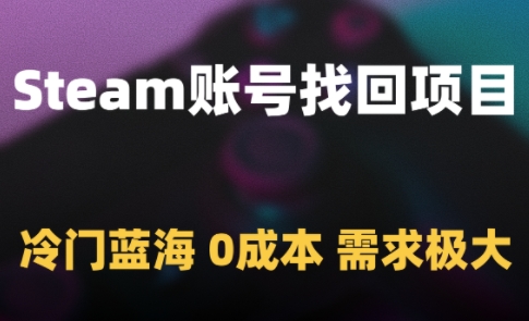 Steam账号找回项目，冷门蓝海，0成本，需求极大-天行资源库