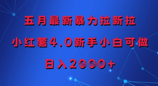 五月最新暴力拉新拉，小红薯4.0新手小白可做，日入多张-天行资源库