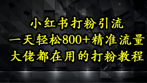 小红书打粉引流，一天轻松500+精准流量，大佬都在用的打粉教程-天行资源库