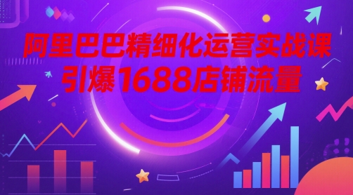 阿里巴巴精细化运营实战课，引爆1688店铺流量-天行资源库