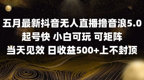2025五月最新无人直播撸音浪单日产出5张+实操教程【揭秘】-天行资源库